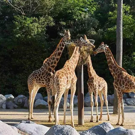 La Familiale La Palmyre
